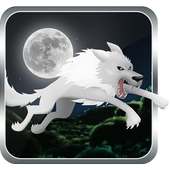 Angry Wolf Attack-Life of Wolf