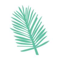 Pray Every Day on 9Apps