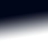 Bird fight piggies icon