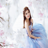 ikon The Substitute Bride