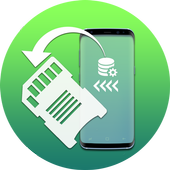 Files To SD Card icon