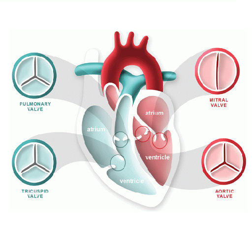 AIIMS Anticoagulant icon