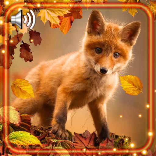 Autumn Fox Live Wallpaper icon