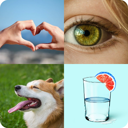 4 Fotos 1 Palabra - Nuevo icon