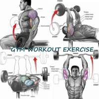 Gym Workout Routine Exercise on 9Apps