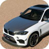 Drive BMW X6 M SUV - City & Parking