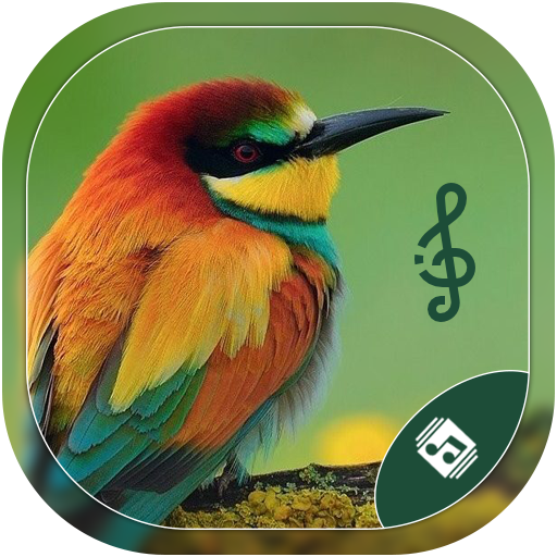 Latest Bird Ringtones 2021 icon