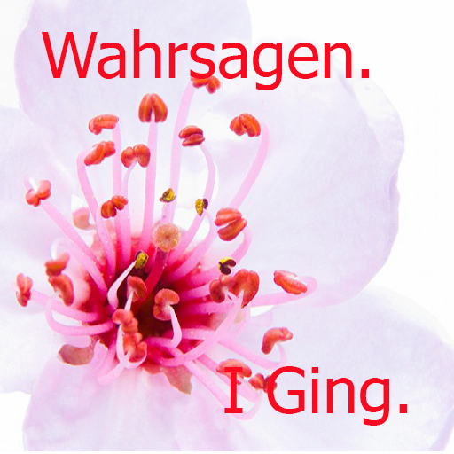 Wahrsagen.I Ging. icon