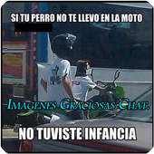 imagenes graciosas chat icon