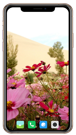 Spring  Wallpaper HD screenshot 12