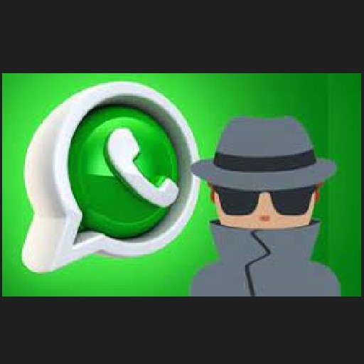 Como clonar wasaps pelo numero icon