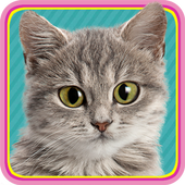 Cat Puzzle icon