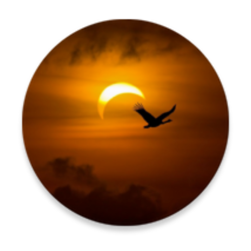 Life Calculator icon