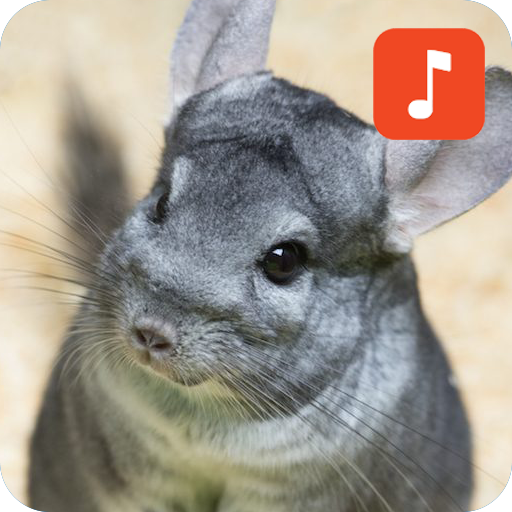 Chinchilla Sound Effects icon