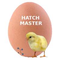 Hatch Master on 9Apps