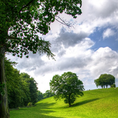 Venta de Terrenos icon