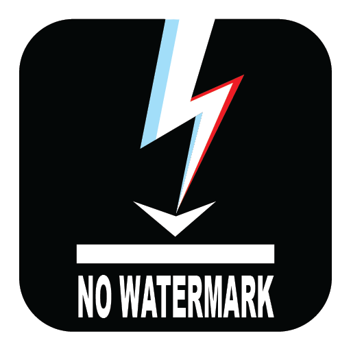 Video Downloader  - No Watermark icon