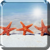 Beach Live Wallpaper icon