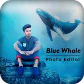 Blue Whale Photo Editor on 9Apps