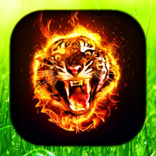 Tiger Live Wallpaper icon