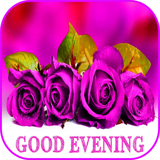 Good evening messages and images Gif icon