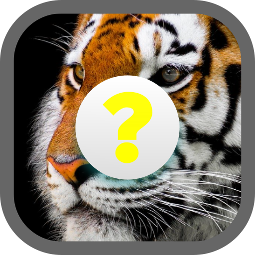 Animal Quiz (เกมทายชื่อสัตว์ ภาษาอังกฤษ) icon