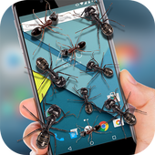 Ant On Screen icon