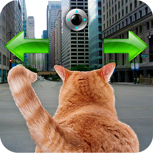 Cat In City Go Simulator icon
