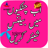 Balance Share in Pakistan icon