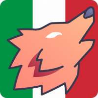 Wolk VPN: veloce e illimitato