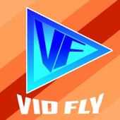 Vid Fly