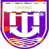 Management Level icon