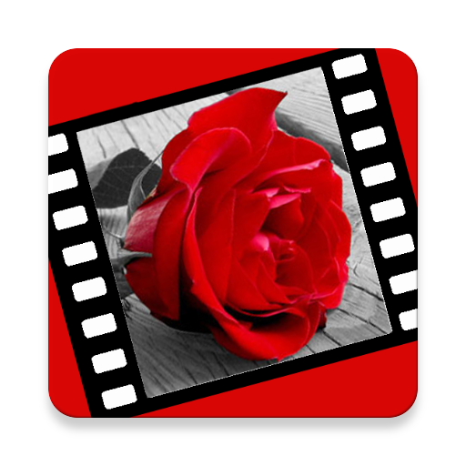 Love Quotes &amp; Love Story Videos icon