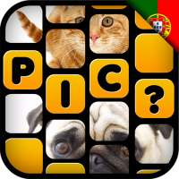 What's the Pic? - em Português