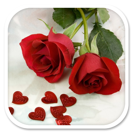 Rose Wallpapers icon