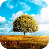 Awesome-Land 2 live wallpaper : Plant a Tree !! on 9Apps