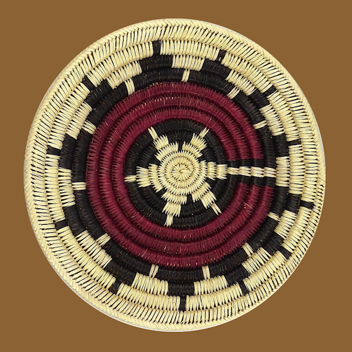 Speak Navajo Volume 4 Language icon