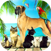 Virtual Pet - Virtual Cat, Virtual Dog, Snake. icon