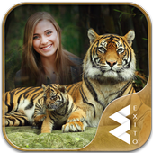 Tiger Photo Frames icon