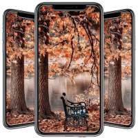 Garden Wallpaper on 9Apps