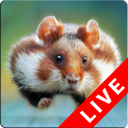 Hamster Live Wallpapers icon
