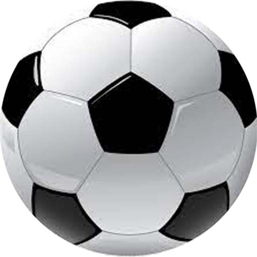 Crazy Ball أيقونة