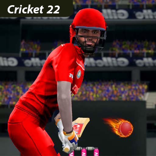 Real cricket 2022 Riddle icon