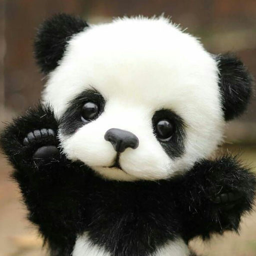 Baby Panda Cute Wallpaper Care icon
