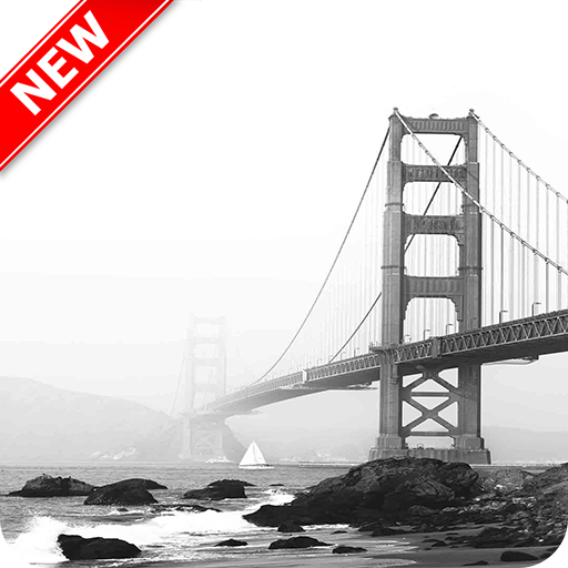 Grey Wallpapers icon