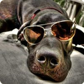 Fotos Graciosas para Wasap icon