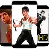 Bruce lee kung fu art icon