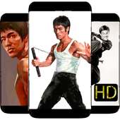 Bruce lee kung fu art on 9Apps