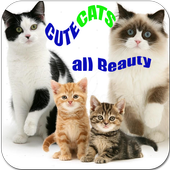 Cute Cats All Beauty Wallpaper icon