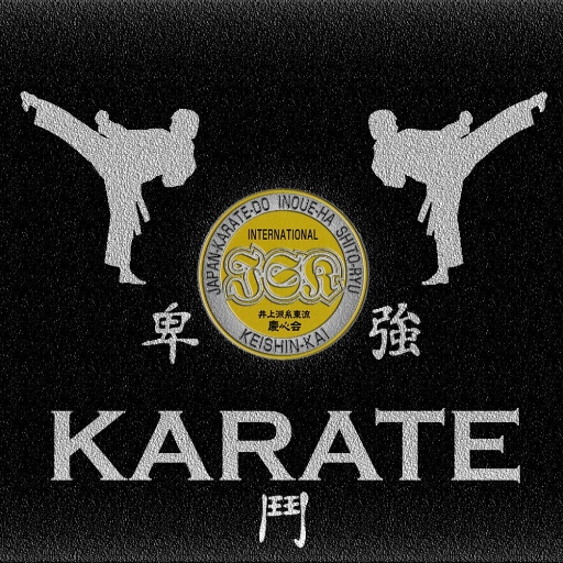 Learn karate icon